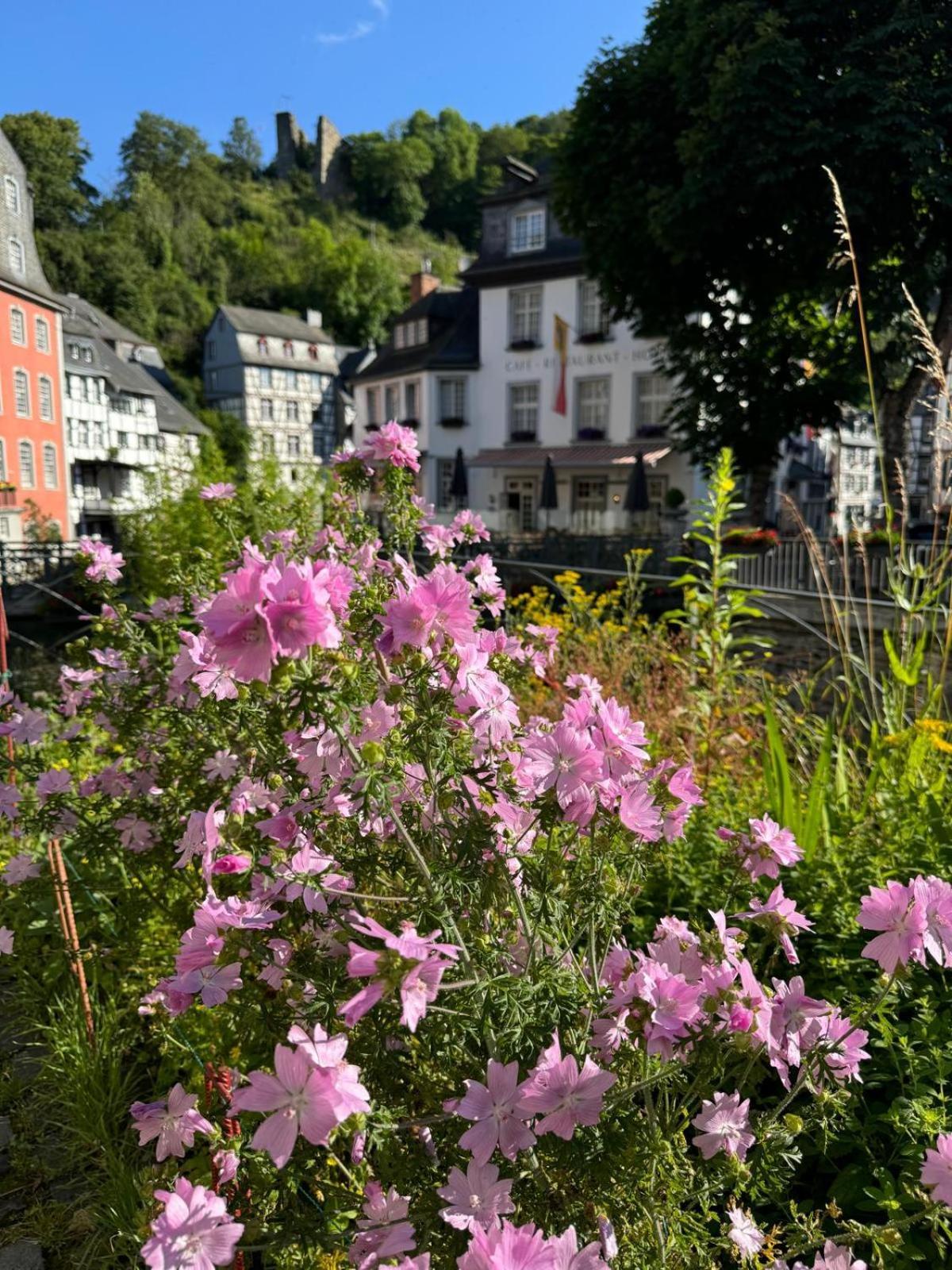 Fewo In Monschau Luaran gambar