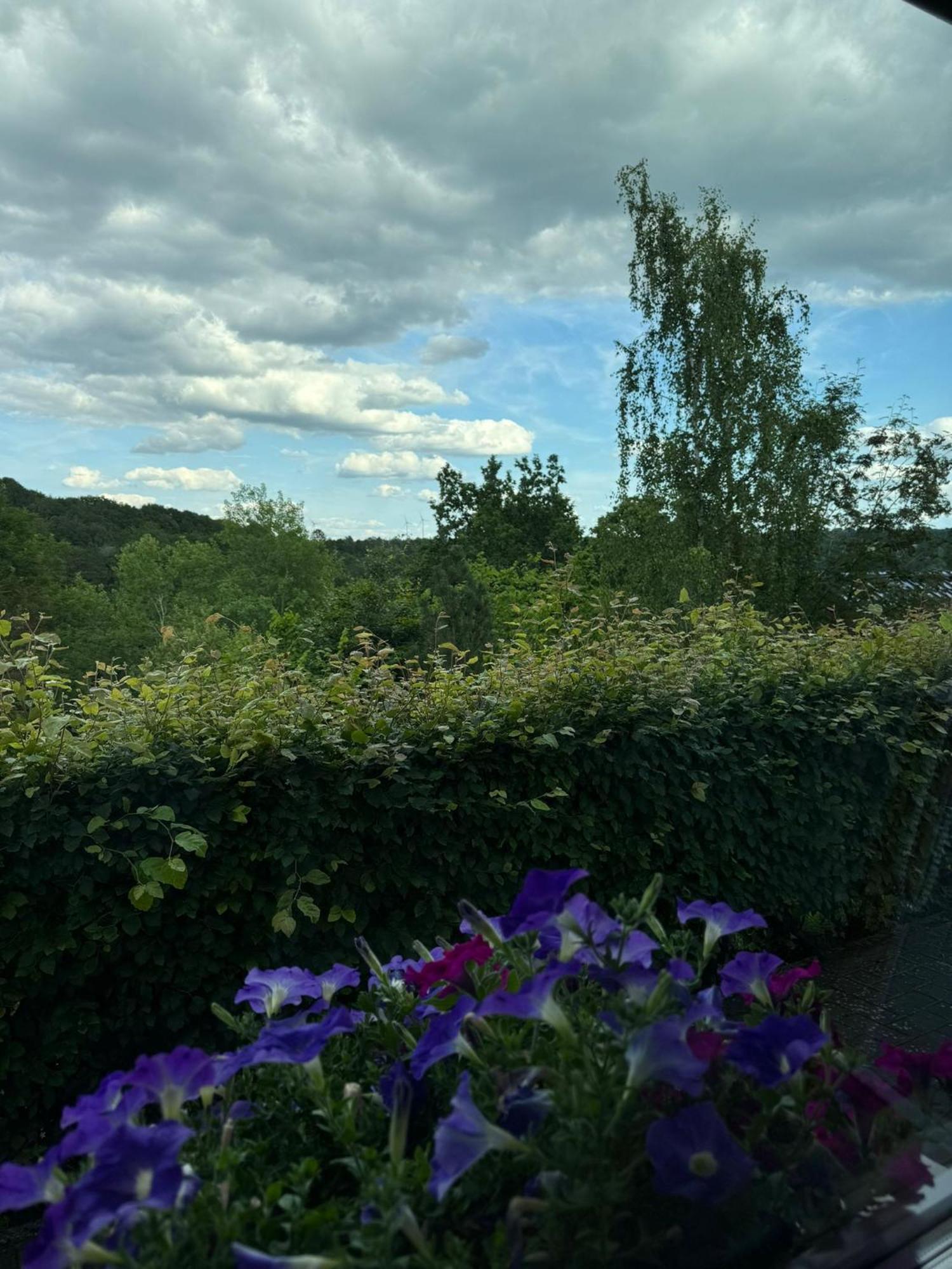 Fewo In Monschau Luaran gambar